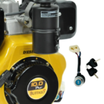 MOTOR BFDE 10.0CV 71004 (BUFFALO) - Imagem 2